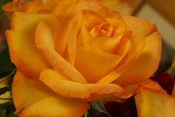 thumbs/dsc00159.jpg.jpg