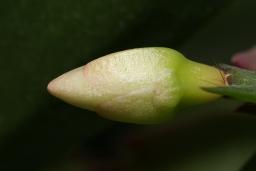 thumbs/dsc00855.jpg.jpg