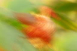 thumbs/dsc00862.jpg.jpg