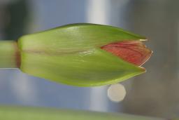 thumbs/dsc01419.jpg.jpg