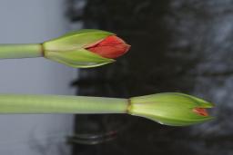 thumbs/dsc01437.jpg.jpg