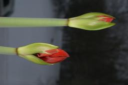 thumbs/dsc01438.jpg.jpg