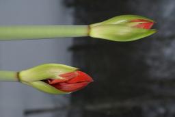 thumbs/dsc01439.jpg.jpg