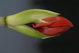 thumbs/dsc01441.jpg.jpg
