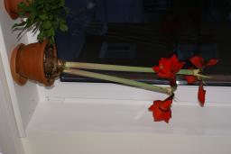 thumbs/dsc01487.jpg.jpg