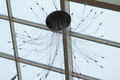 dsc00200.jpg