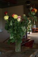 thumbs/dsc02458.jpg