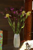 thumbs/dsc02460.jpg
