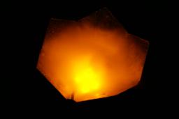 thumbs/dsc04445.jpg.jpg