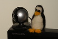 dsc00431.jpg