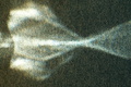 dsc00504.jpg