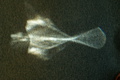 dsc00505.jpg