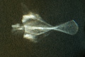 dsc00506.jpg