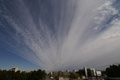 dsc00988.jpg