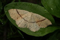 dsc01285.jpg