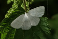 dsc01581.jpg