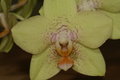 dsc02445.jpg