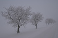 dsc02565.jpg