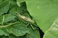 dsc02855.jpg