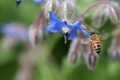 dsc02905.jpg