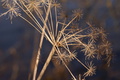 dsc04969.jpg