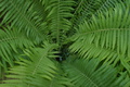 dsc05887.jpg
