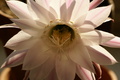 dsc05912.jpg