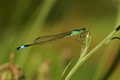 dsc06275.jpg