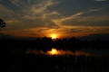 dsc06341.jpg