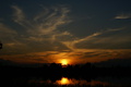 dsc06342.jpg