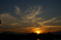 dsc06343.jpg