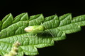 dsc01573.jpg