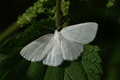 dsc01577.jpg