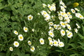 dsc01587.jpg