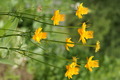 dsc01588.jpg