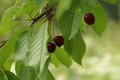 dsc01590.jpg