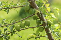 dsc01603.jpg