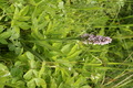 dsc01612.jpg
