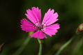dsc01621.jpg
