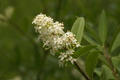 dsc01633.jpg