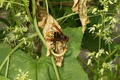 dsc01634.jpg