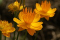 dsc01636.jpg