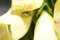 dsc01644.jpg