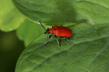 dsc01647.jpg