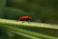dsc01648.jpg