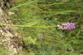 dsc01652.jpg