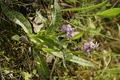 dsc01699.jpg
