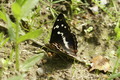 dsc01714.jpg