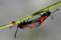 dsc01739.jpg
