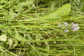 dsc01743.jpg